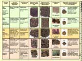 Image of the VESS soil card