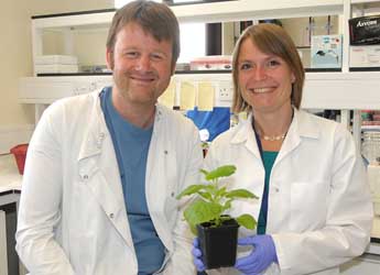 Photograph of Edgar Huitema and Jorunn Bos in the laboratory Photograph of Edgar Huitema and Jorunn Bos in the laboratory