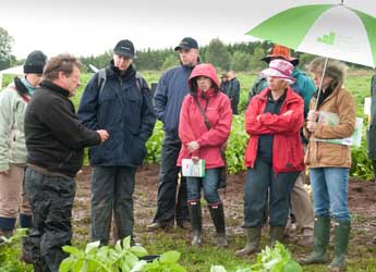 Photograph of visitors in the rain at a field plot during PiP 2011