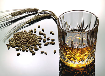 Photograph of glass of whisky and barley