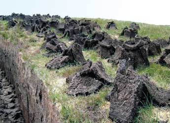 Photograph showing peat harvesting