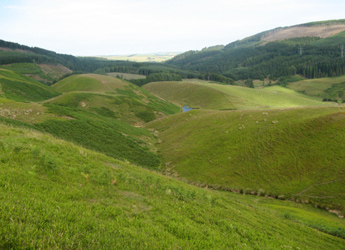 Photograph of a hillside at Glensaugh