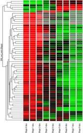 Heatmap image
