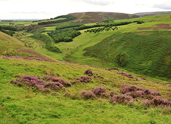 Uses Of Land