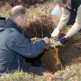 Photograph of staff carrying out a soil survey