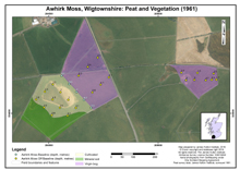 Awhirk Moss, Wigtownshire: Peat condition or vegetation status 1961; Macaulay Institute; 