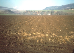 Photograph showing deep productive Class 2 land in Easter Ross