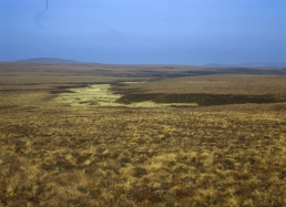 Photograph showing Blanket bog; capable of sustaining only poor rough grazing (Class 6.3w) but priceless in terms of water and carbon storage and biodiversity