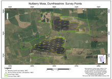  Survey Points; Scottish Peat Survey sites, Scottish Peat Committee and Macaulay Institute for Soil Research