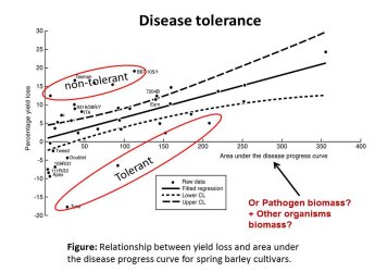 Relationship between yield loss and area under the disease progress curve for spring barley cultivars.