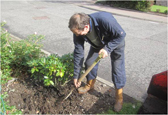 Spreading compost around the roots of shrubs. This helps to keep the roots cool and moist as well as providing extra nutrition.
