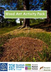 Front cover of the Wood Ant Activity Pack