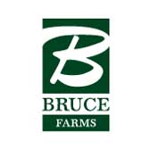 Image of the Bruce Farms logo - link to the Bruce Farms website (opens in a new window)