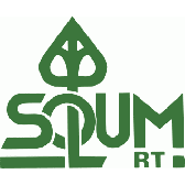 Solum logo