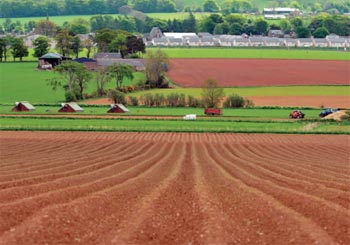 Ploughed field