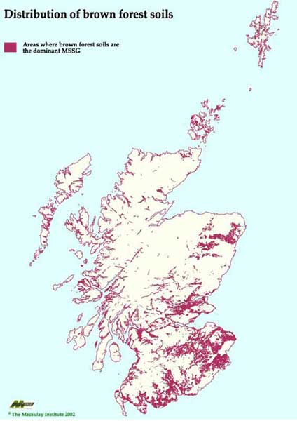 Geography Map Brown Landscape