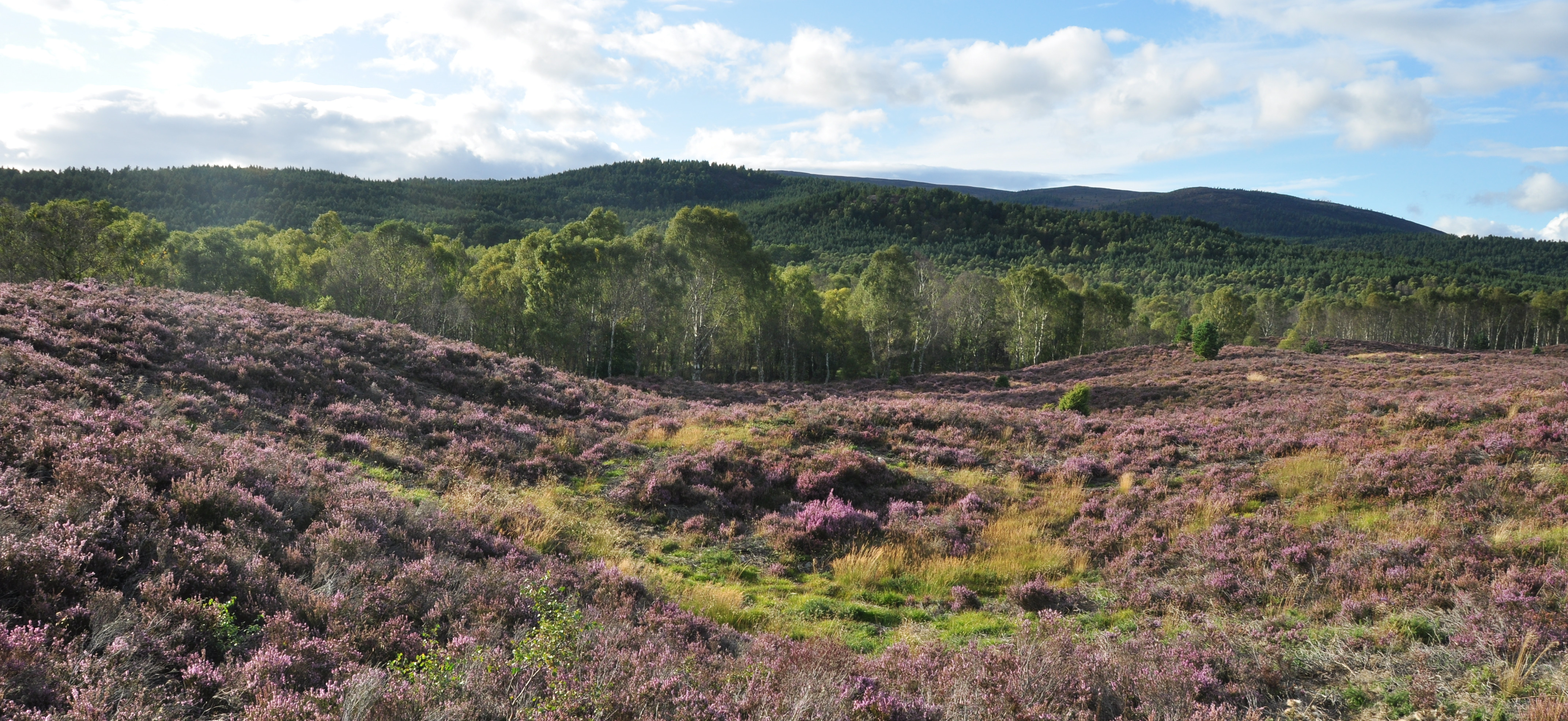 The James Hutton Institute