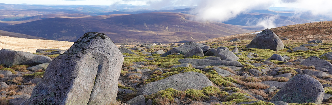 The James Hutton Institute