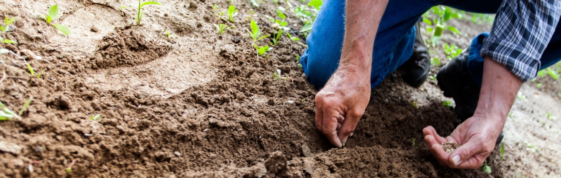 The Rock On Soils project involved scientists and farmers working together