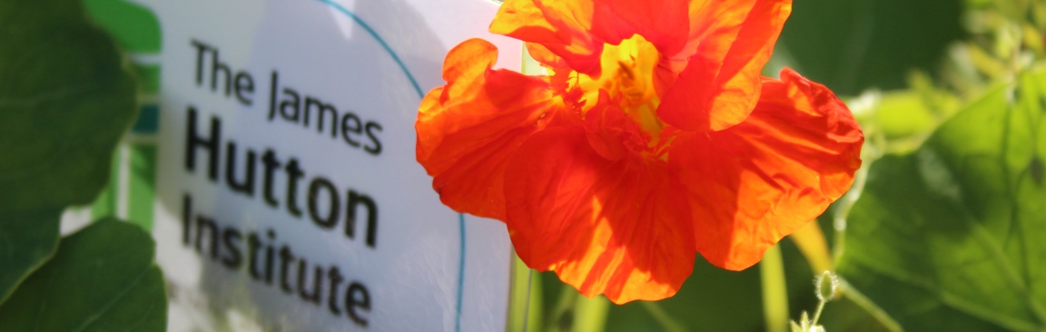 James Hutton Institute logo at an allotment (c) James Hutton Institute