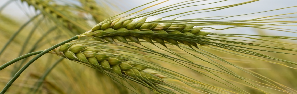 The event aims to bring together key players in food production