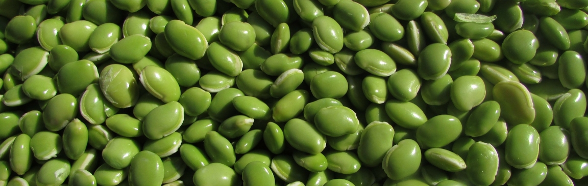 Beans (Vijaya Narasimha/Pixabay)