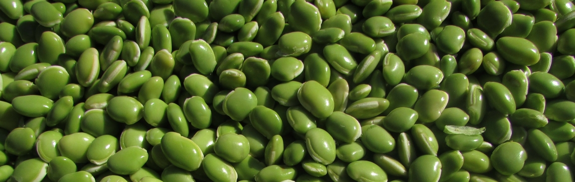 Members are being sought for a RISS group to explore the potential of pulses