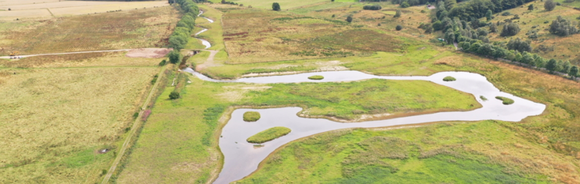 Beltie Burn wetlands