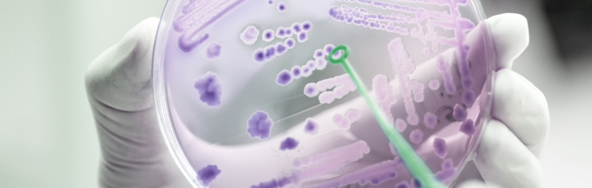 Biofilms are at the heart of a new awareness campaign