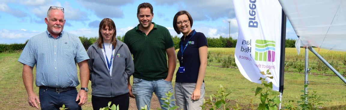 Blueberry Breeding Consortium first meeting in Dundee (c) James Hutton Institute