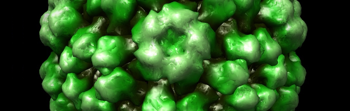 Brome mosaic virus PDB 1J59 (image: JY Sgro; UW-Madison)