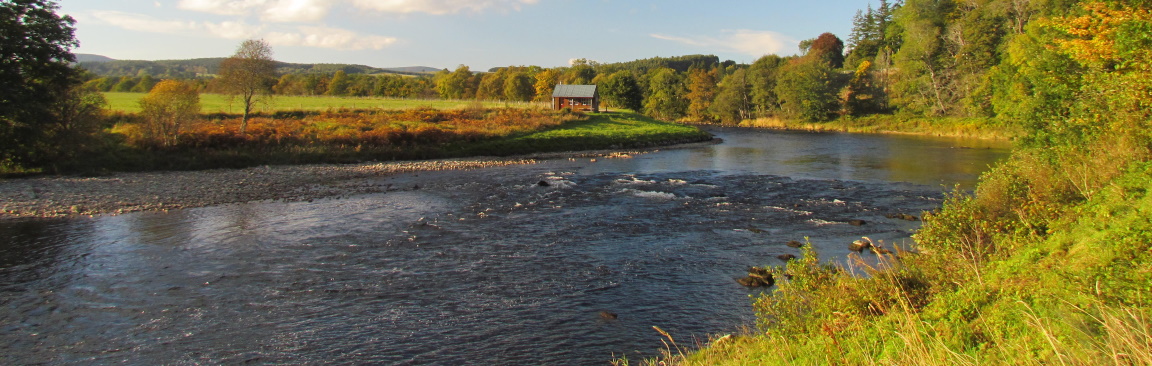 Image of the River Dee in summer