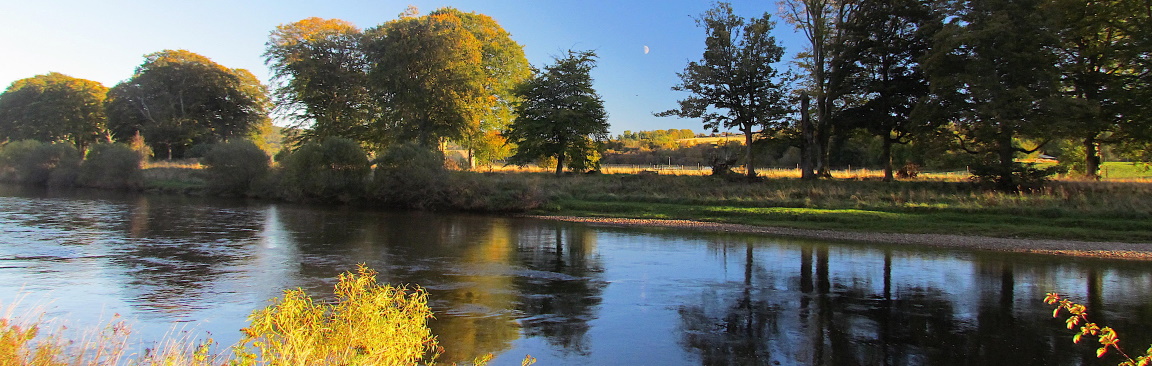 A summer evening in Deeside (Image: Dee Catchment Partnership)