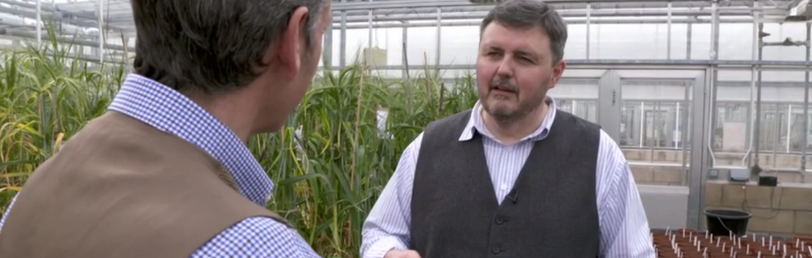 Professor Derek Stewart interviewed for BBC Landward