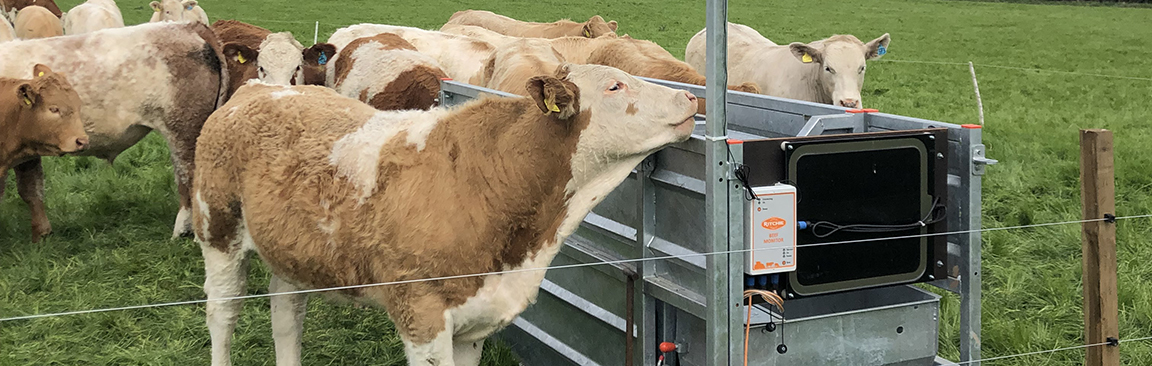 The Ritchie Beef Monitoring Unit