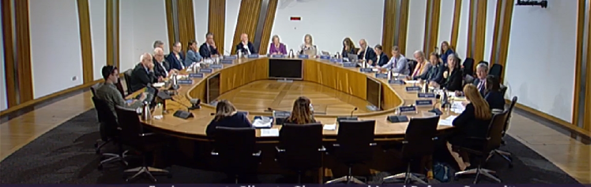 Session of the ECCLR Committee in the Scottish Parliament