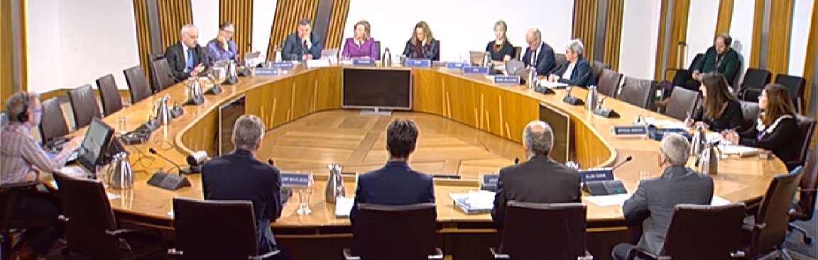 Screenshot of parliamentary session as shown on Scottish Parliament TV