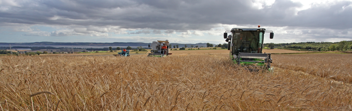Harvest at Balruddery Farm, near Dundee