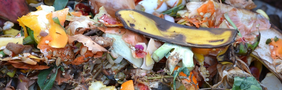 Food waste shows huge potential to replace energy crops