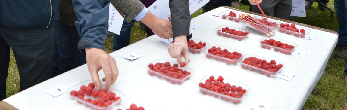 The Institute conducts research to develop resilient, productive crop varieties