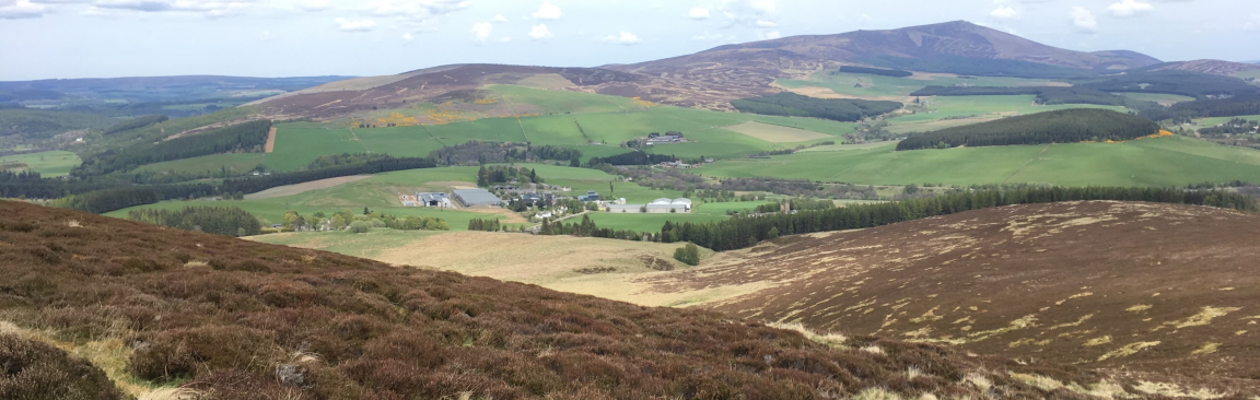 The Glenlivet catchment area in Speyside