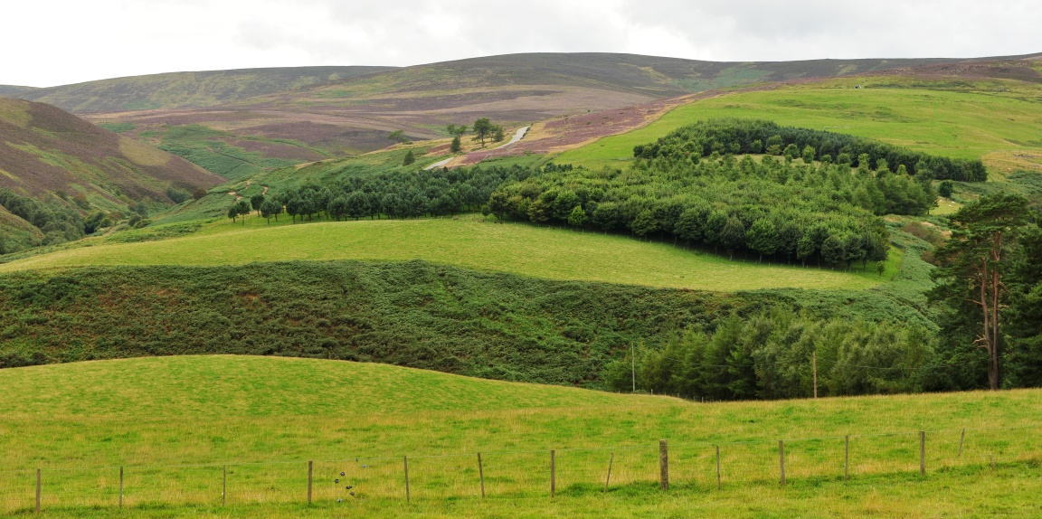 Glensaugh farm (c) James Hutton Institute