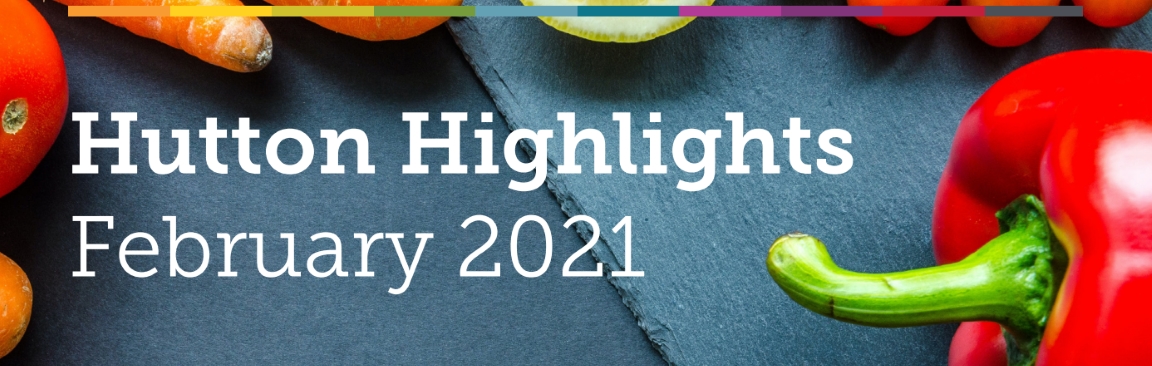 Hutton Highlights, February 2021 (c) James Hutton Institute