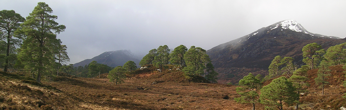 The James Hutton Institute