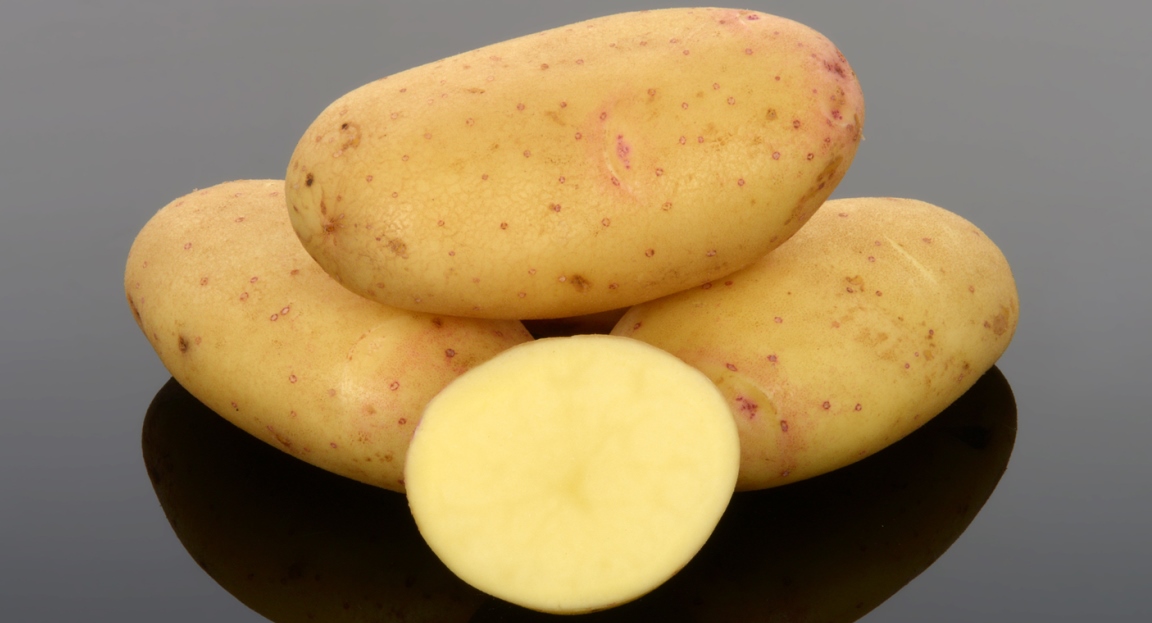 Lady Balfour potatoes (c) James Hutton Institute