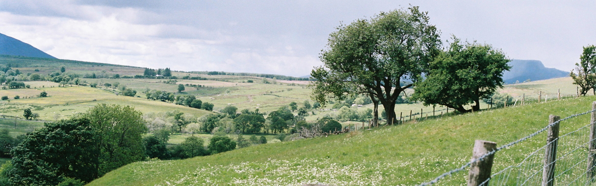 Imagen of a landscape with fields and trees