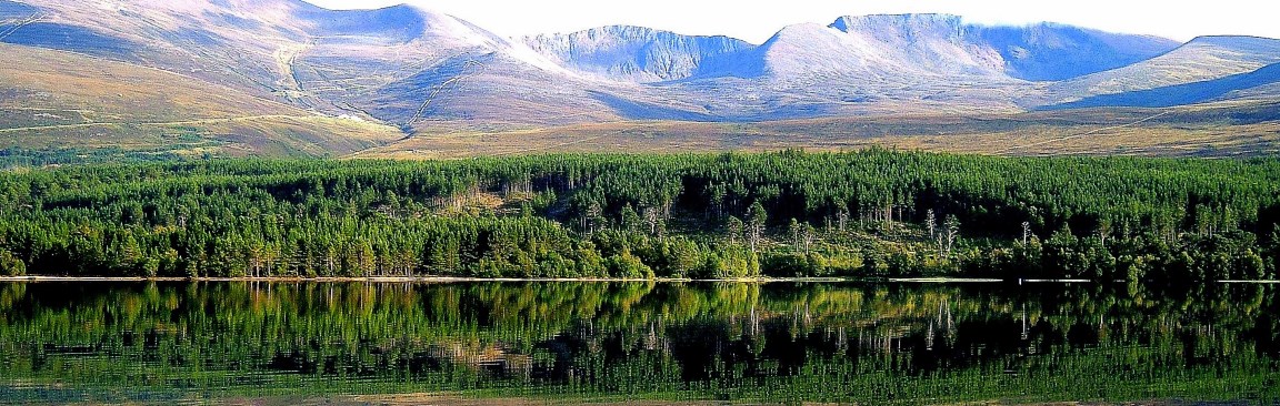 Loch Morlich (c) James Hutton Institute