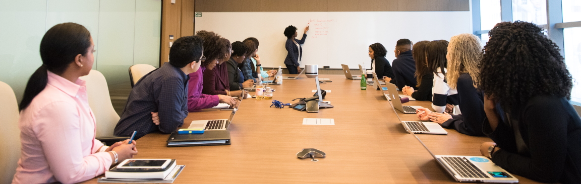 Only 11% of top ecology authors are women (Photo: Christina Morillo/Pexels)