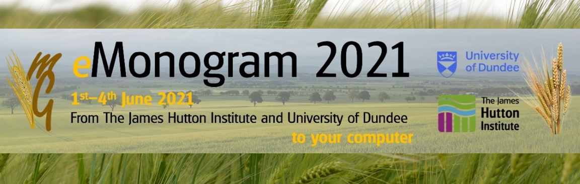 Monogram 2021 publicity image