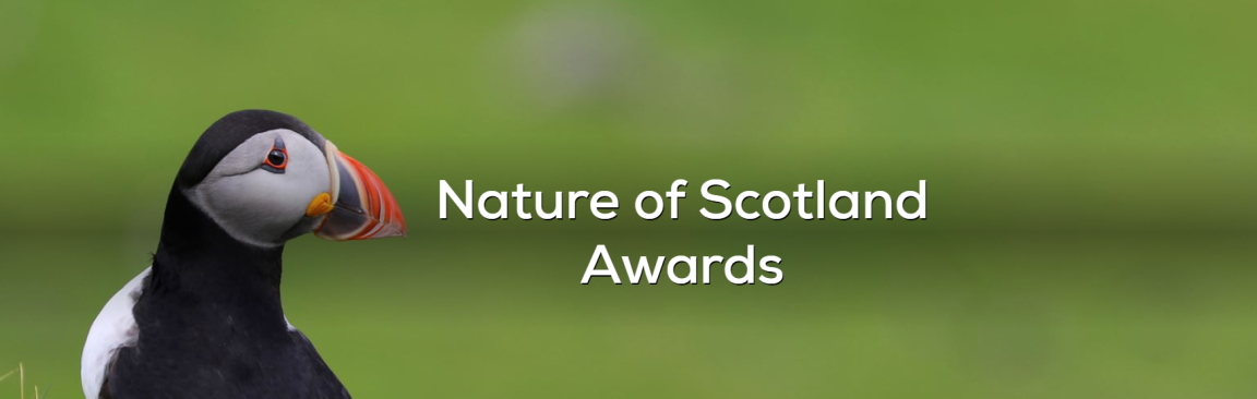 Nature of Scotland Awards promotional image